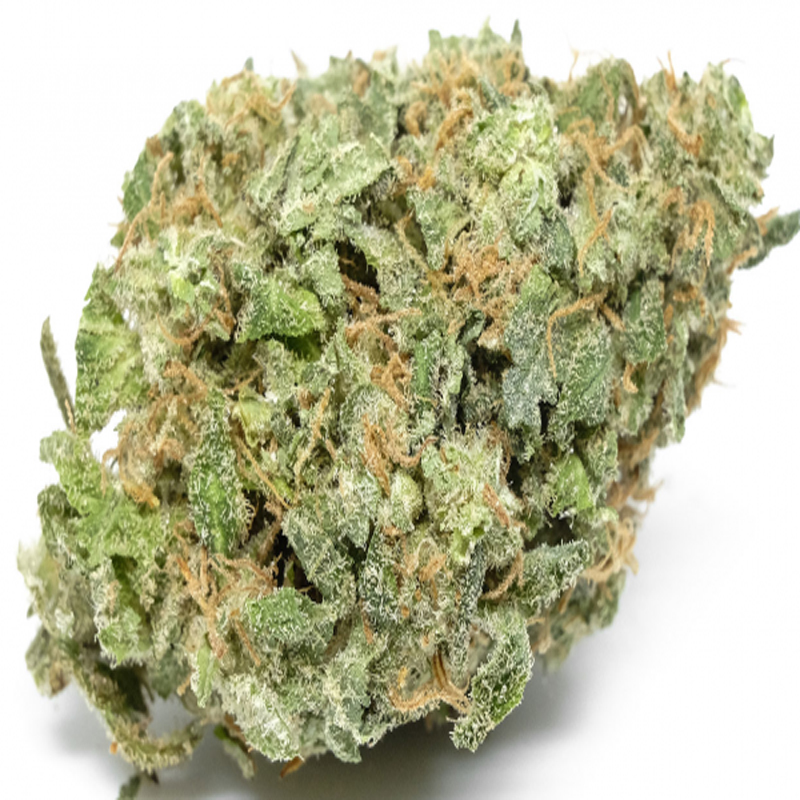 White-Widow
